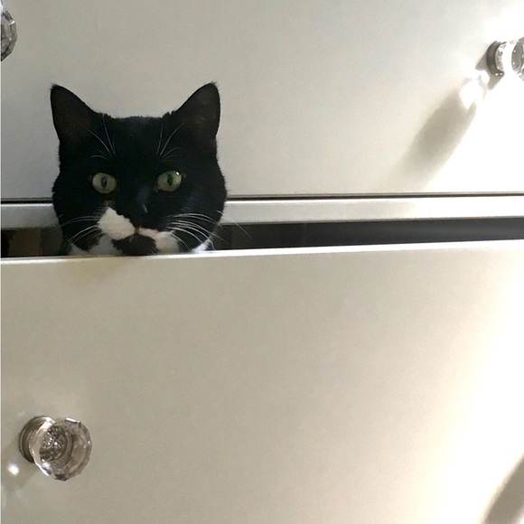 ♥️ - Picture 4 of 6